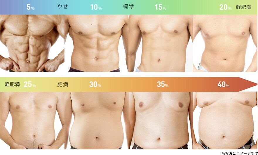 体脂肪ごとの体型 ※写真はイメージです