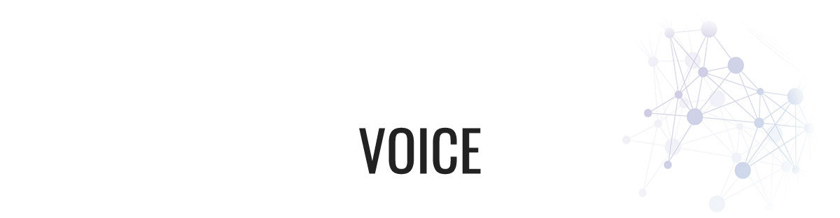 Voice