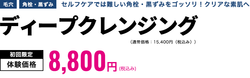 ディープクレンジング　初回限定体験価格9,900円(税込み)