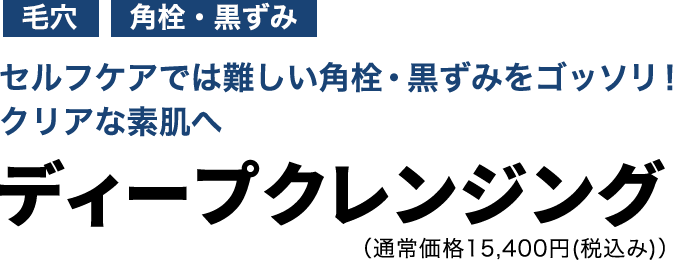 ディープクレンジング　初回限定体験価格9,900円(税込み)