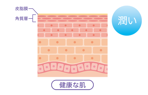 図：健康な肌