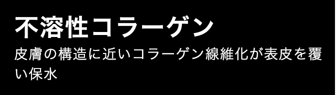 不溶性コラーゲン 皮膚の構造に近いコラーゲン線維化が表皮を覆い保水