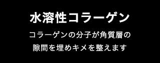 水溶性コラーゲン コラーゲンの分子が角質層の隙間を埋めキメを整えます