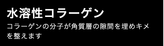 水溶性コラーゲン コラーゲンの分子が角質層の隙間を埋めキメを整えます