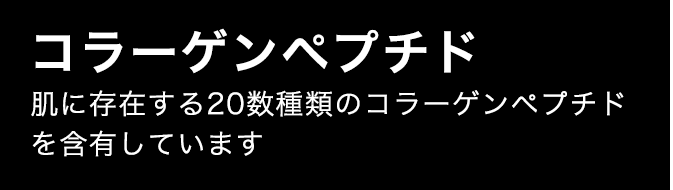 コラーゲンペプチド 肌に存在する20数種類のコラーゲンペプチドを含有しています