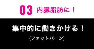 03内臓脂肪に鍛えて引き締める！(ファットバーン)