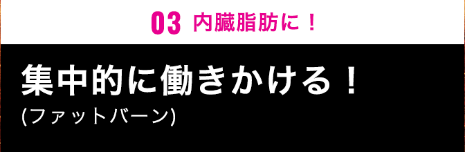 03内臓脂肪に鍛えて引き締める！(ファットバーン)
