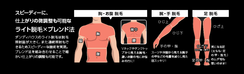 スピーディーに、仕上がりの微調整も可能なライト脱毛×ブレンド法 胸・お腹 脱毛/腕・手 脱毛/足 脱毛