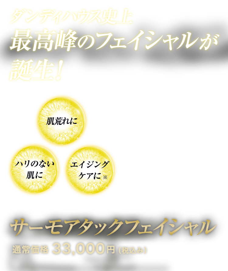 ダンディハウス史上最高峰のフェイシャルコース誕生　素肌にハリと透明感を　サーモフェイシャルアタック　通常価格33,000円(税込み)