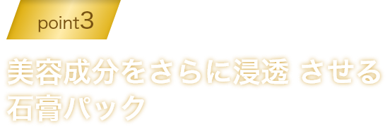 point3 密封　美容成分をさらに浸透させる石膏パック