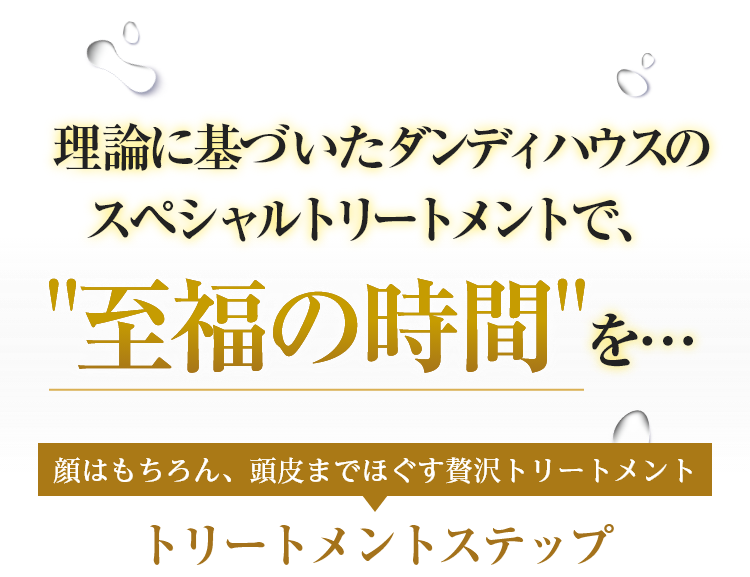 理論に基づいたダンディハウスのスペシャルトリートメントで、至福の時間を