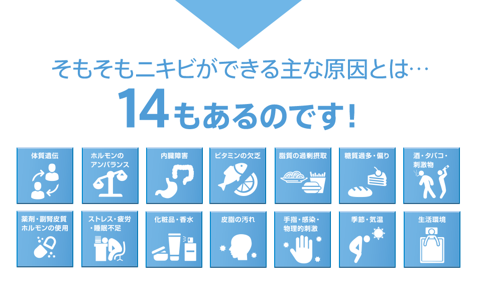 そもそもニキビができる主な原因とは…14もあるのです!