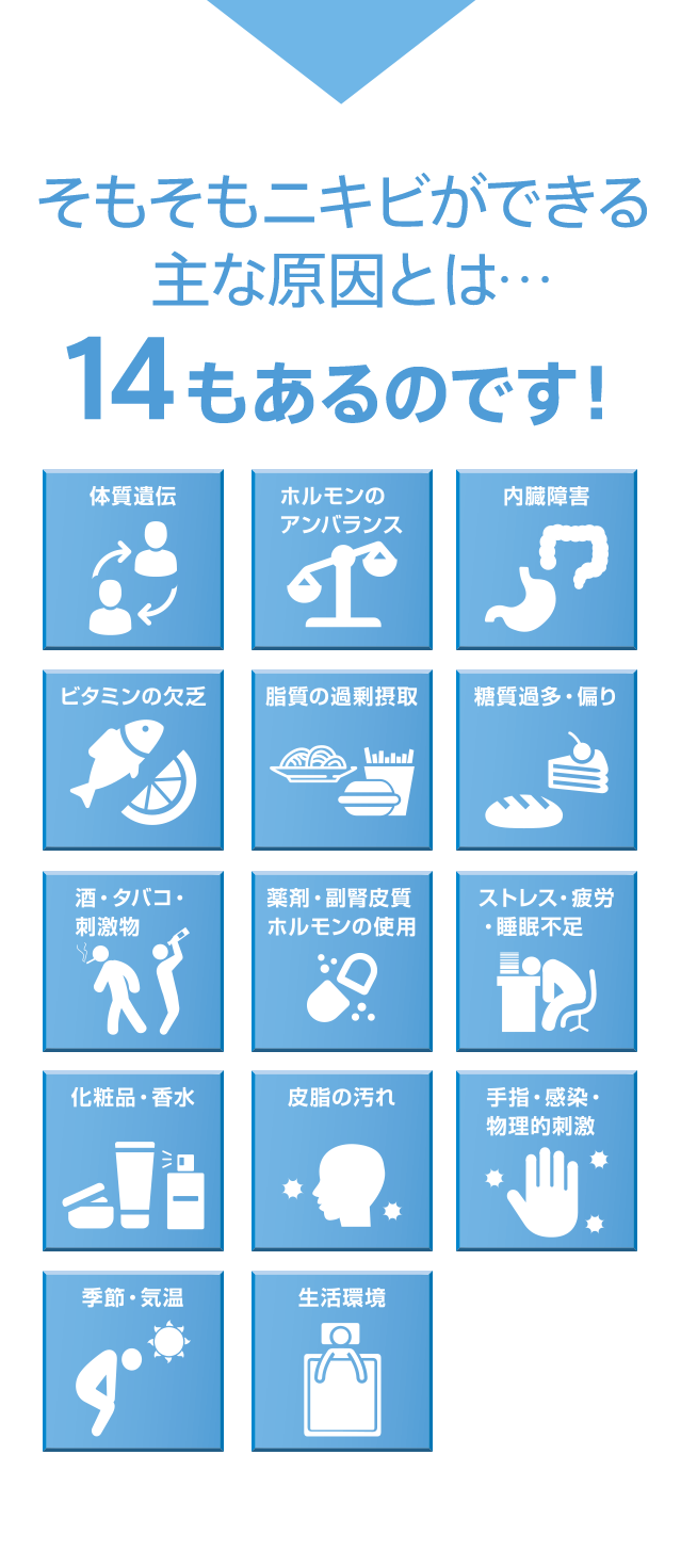 そもそもニキビができる主な原因とは…14もあるのです!