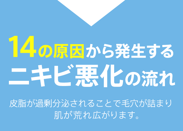 14の原因から発生するニキビ悪化の流れ 皮脂が過剰分泌されることで毛穴が詰まり炎症が発生し広がります。