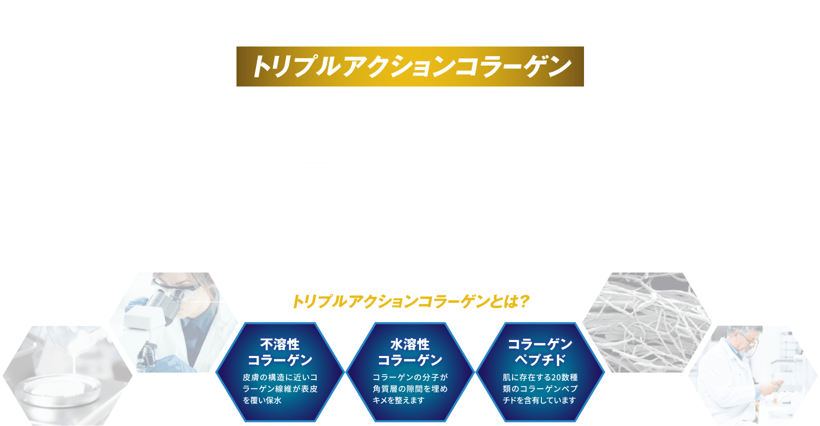 トリプルアクションコラーゲンを使用したダンディーハウスだけの生コラーゲンスキンケア